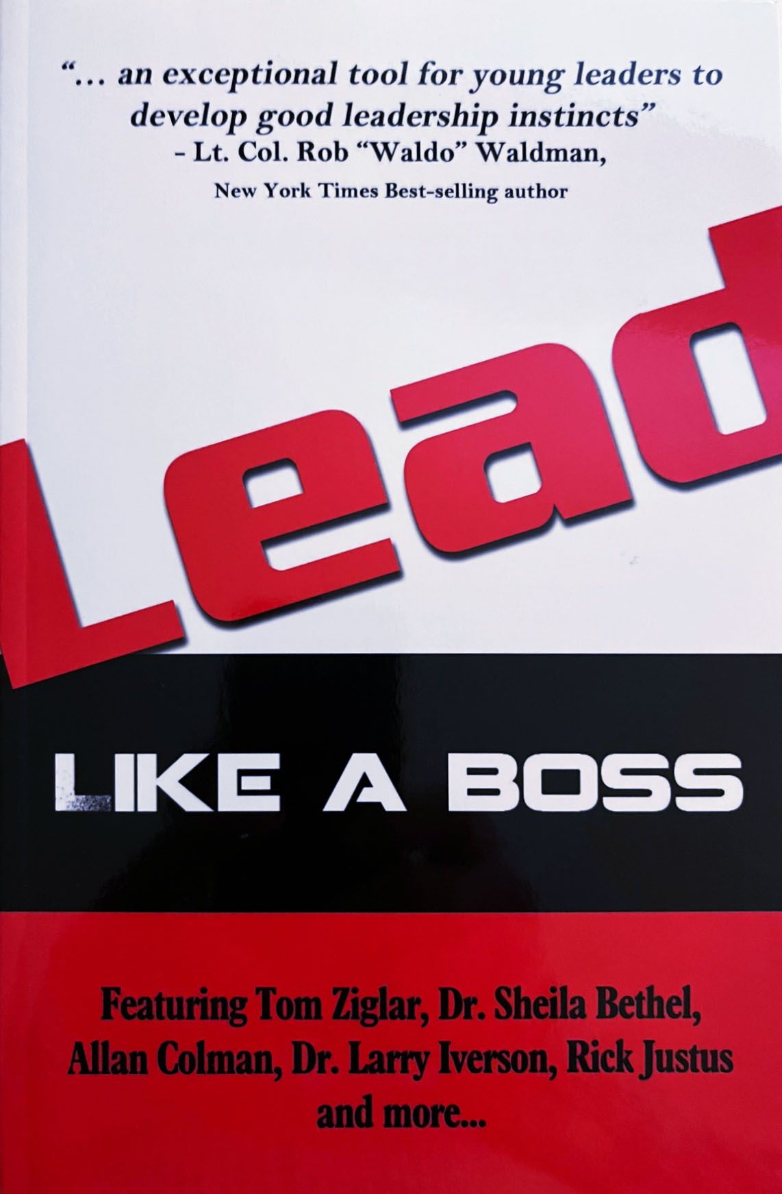 Lead Like a Boss by Allan Colman
